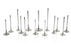 Ferrea Chevrolet LS3 2.165in 4.9in 12 Deg S-Flo B/C 30 Deg Rad Grv 6000 Series Int Valve - Set of 8